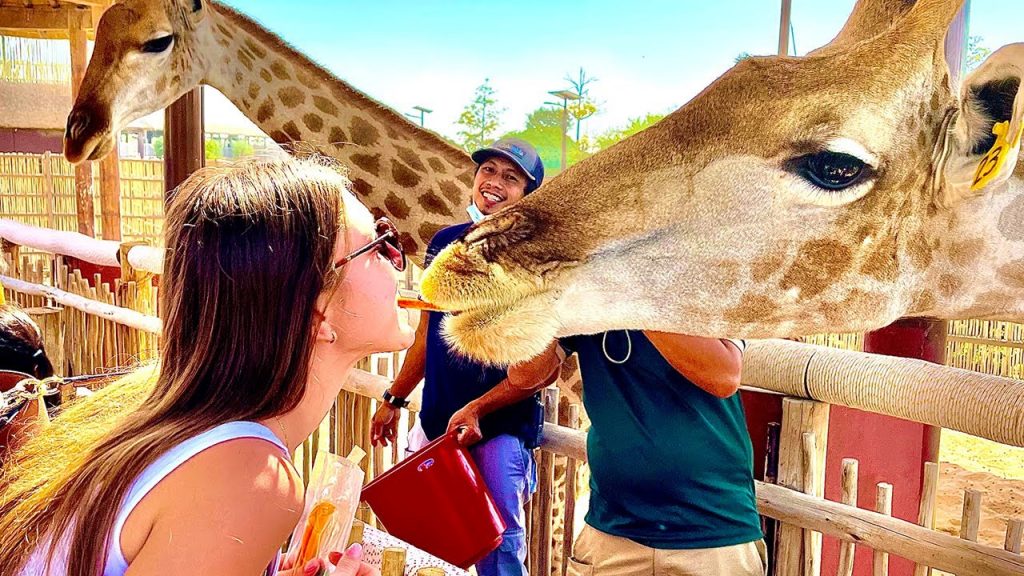 Куда сходить в Дубае , Сафари зоопарк